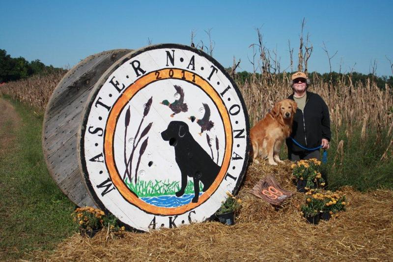 Sunfire Golden Retrievers